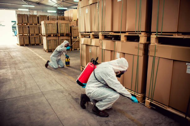 Best Residential Pest Control  in Waterville, ME