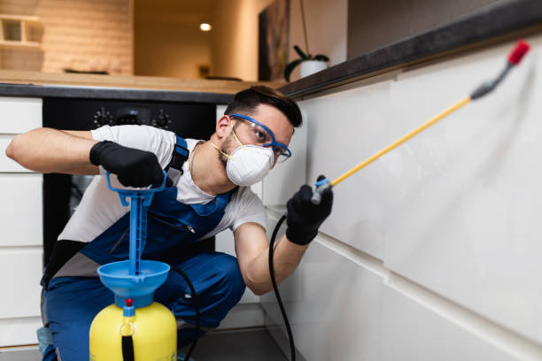 Professional Pest Control in Waterville, ME
