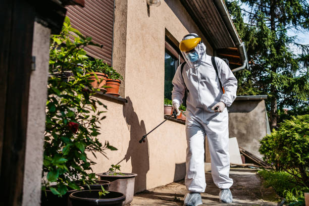 Best Pest Control Treatment  in Waterville, ME