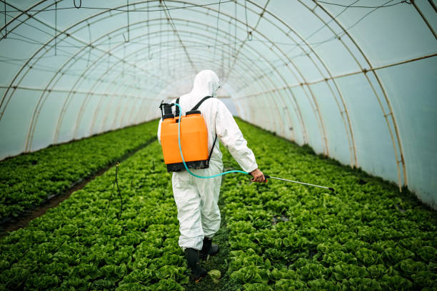 Best Affordable Pest Control Services  in Waterville, ME
