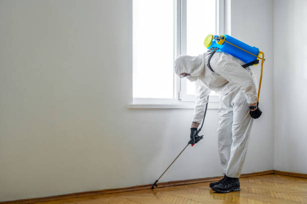 Best Rat Extermination Near Me  in Waterville, ME