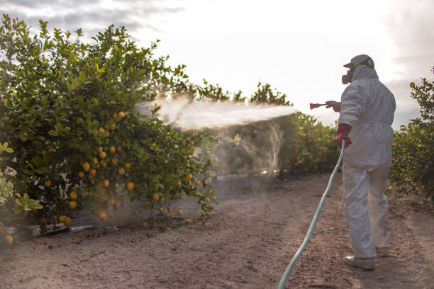 Best Bed Bug Extermination  in Waterville, ME