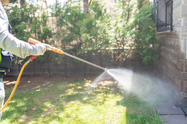 Best Wasp Removal Services  in Waterville, ME