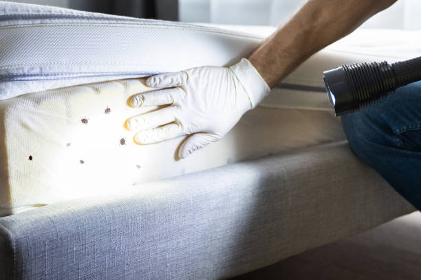 Best Exterminator Services  in Waterville, ME