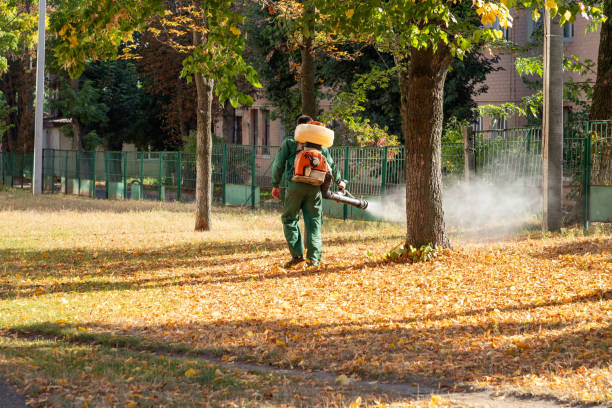 Best Best Pest Control Companies  in Waterville, ME