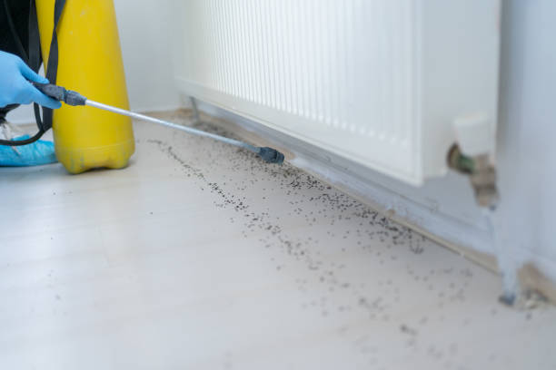 Best Emergency Pest Control  in Waterville, ME