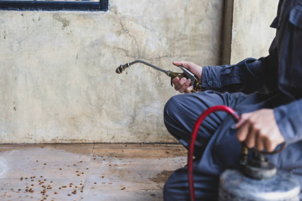 Best Pest Prevention Services  in Waterville, ME